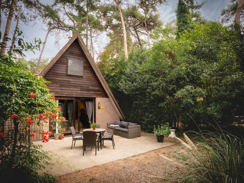 Woning met terras tussen hoge bomen